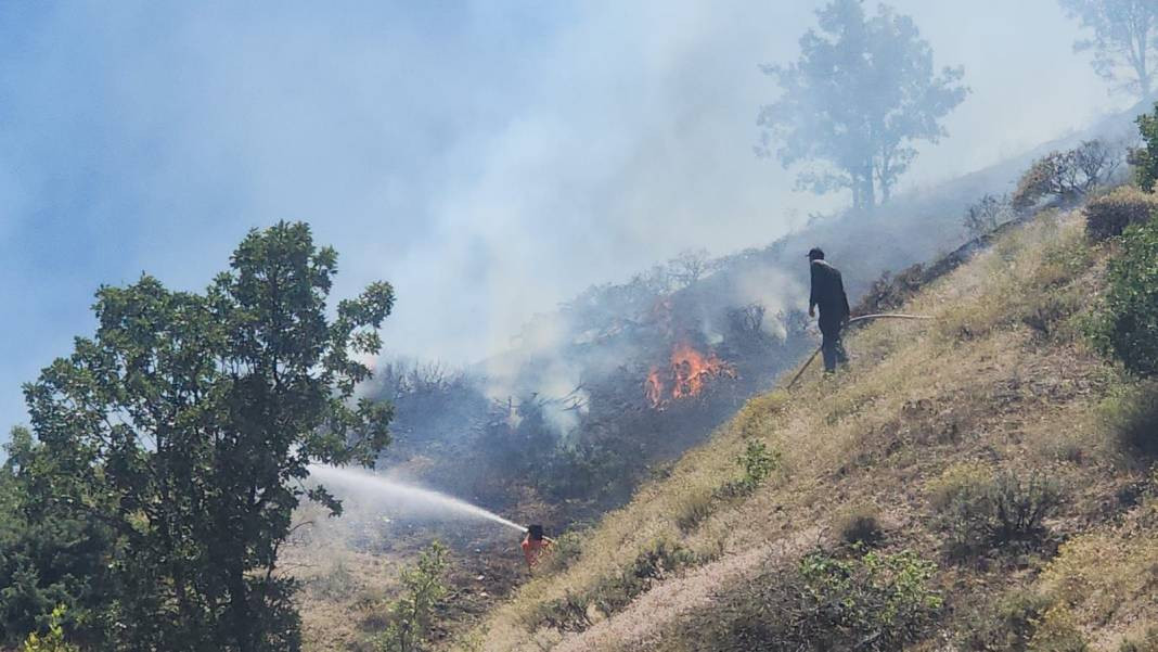 Bingöl'ün Genç ve Kiğı ilçelerinde orman yangını - Resim: 10